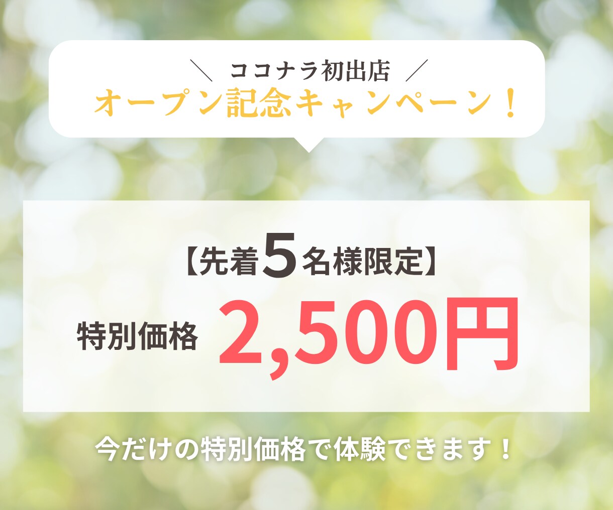 しっかり食べてキレイに痩せる方法がわかります 『昔より食べてないのに、痩せない…』あなたへ イメージ9