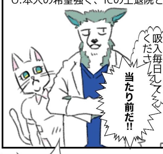 シンプルでこだわりのある獣人キャラ描きます キャラクターデザインお任せください イメージ3