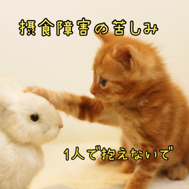 元摂食障害の私があなたの心に寄り添います 分かってもらいにくい苦しみ共有しましょ！！ イメージ1