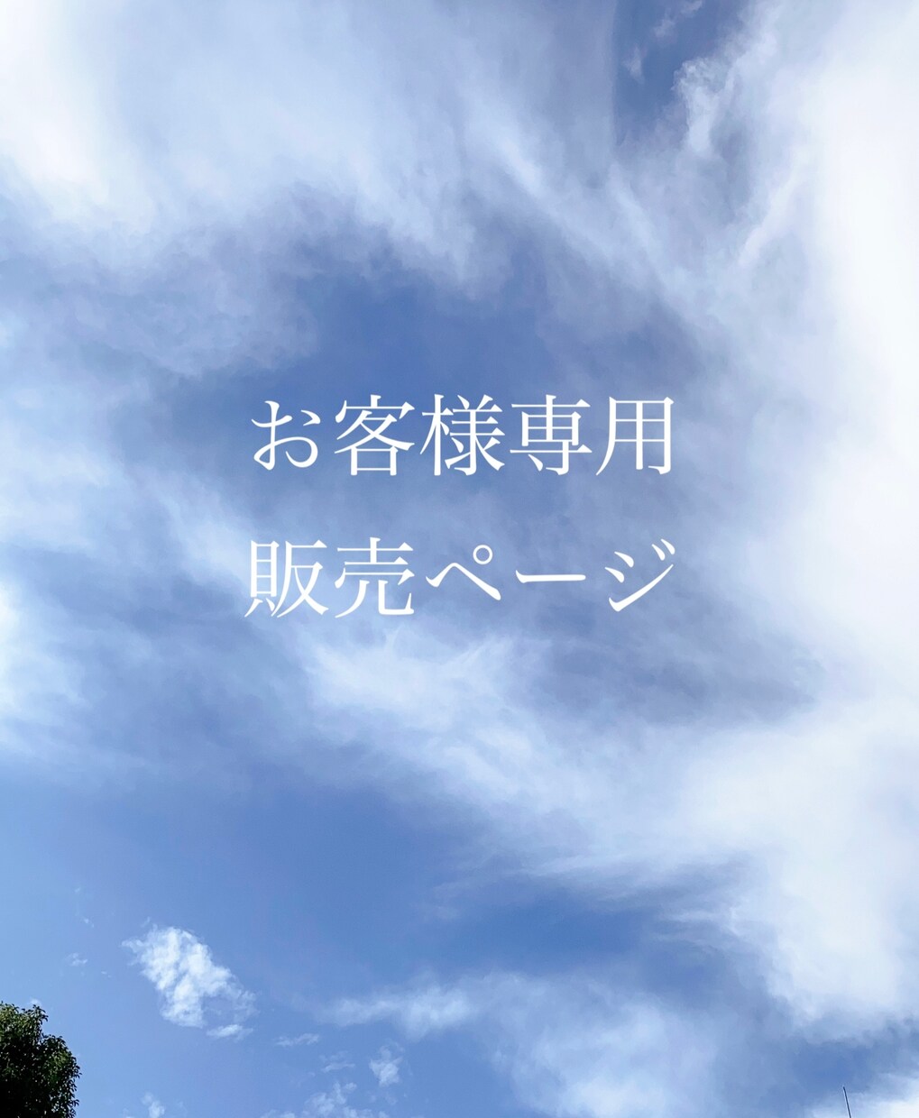 お客様専用ページ対談での相談に対応します EC運営についてのコンサル前確認をいたします。 イメージ1