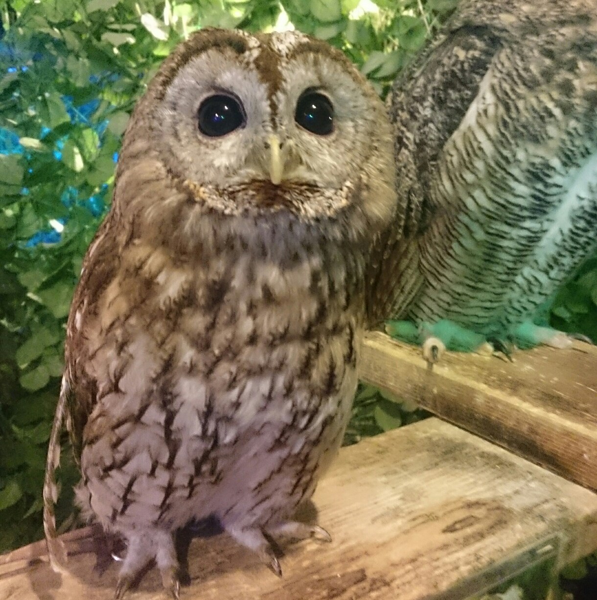 貴方の話し相手になります 聞いて欲しいこと、話したいことどんどんどうぞ♪ イメージ1