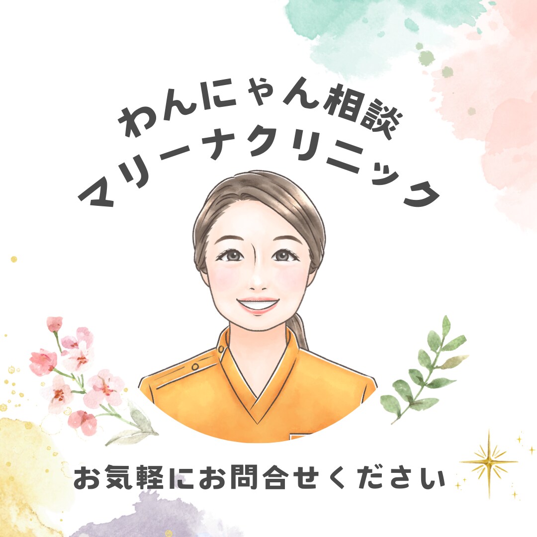 現役の動物病院院長が犬猫の相談にのります ⭐︎体調不良の犬ちゃん、猫ちゃんのケアについてアドバイス⭐︎ イメージ1