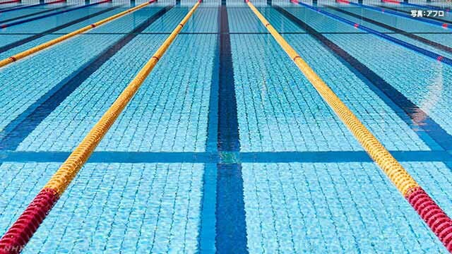 水泳のフォーム確認、悩み聞きます 今悩んでる水泳についてなんでもお聞かせください！ イメージ1