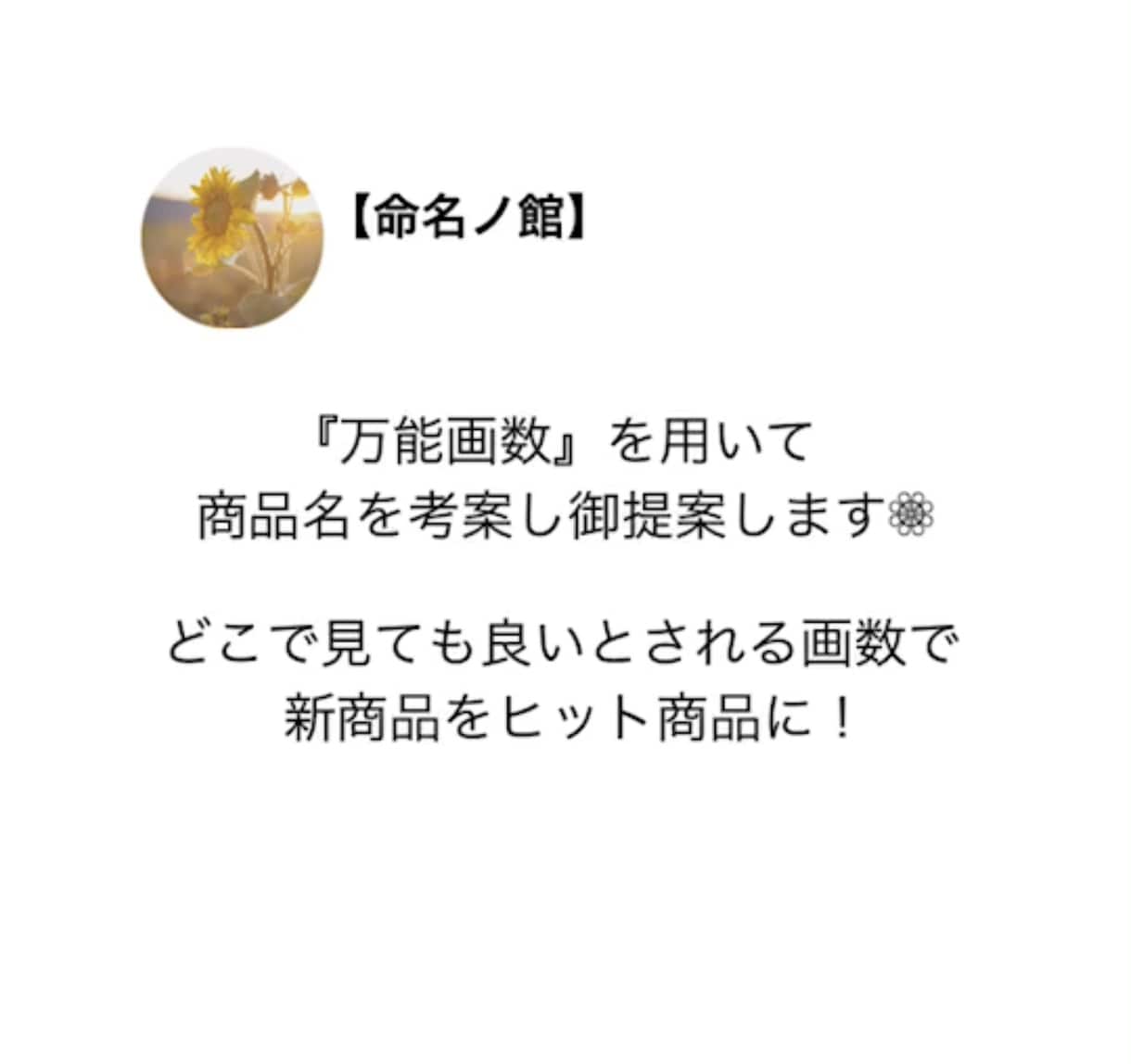 ヒットする商品名を『万能画数』を用いて御提案します 『万能画数』を用いてあなたの商品の名付けをお手伝いします!! イメージ1