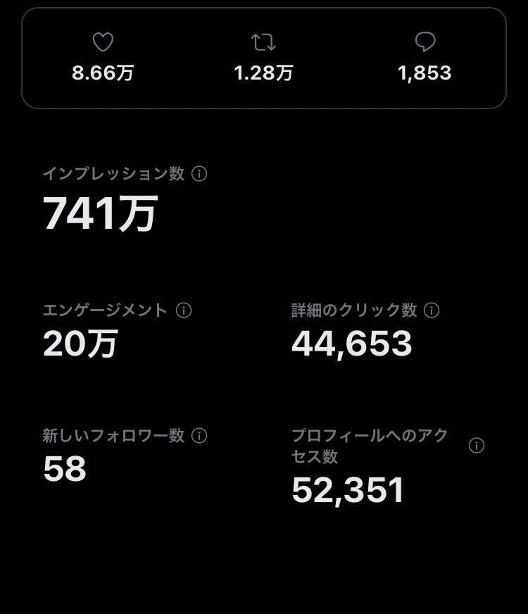 Twitter運用補助！認知拡大をお助けします 効果的なサポートで日本人アクティブフォロワーを獲得します イメージ6