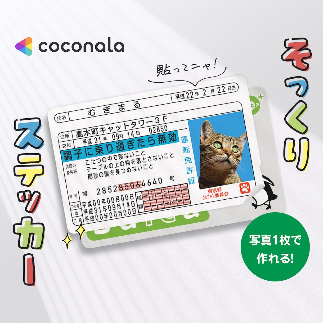 運転免許証そっくりなICカードステッカー作ります ペットの写真で作って、Suicaなどに貼っちゃおう！ イメージ1