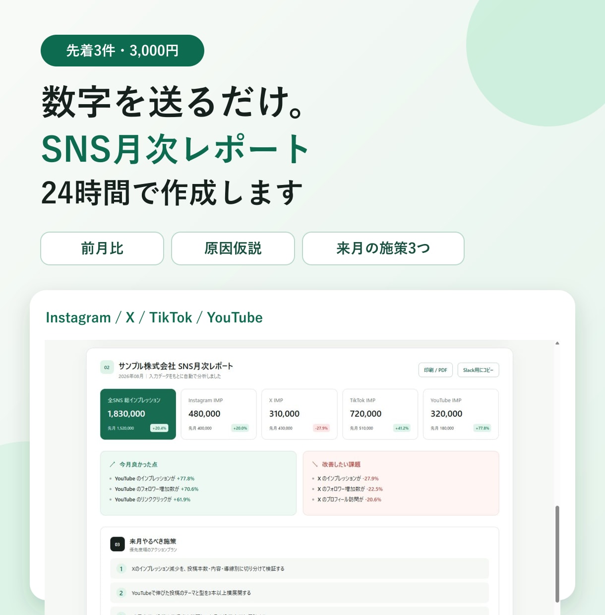 SNS月次レポートを24時間で作成します 数字を送るだけ。原因仮説と来月施策まで イメージ1