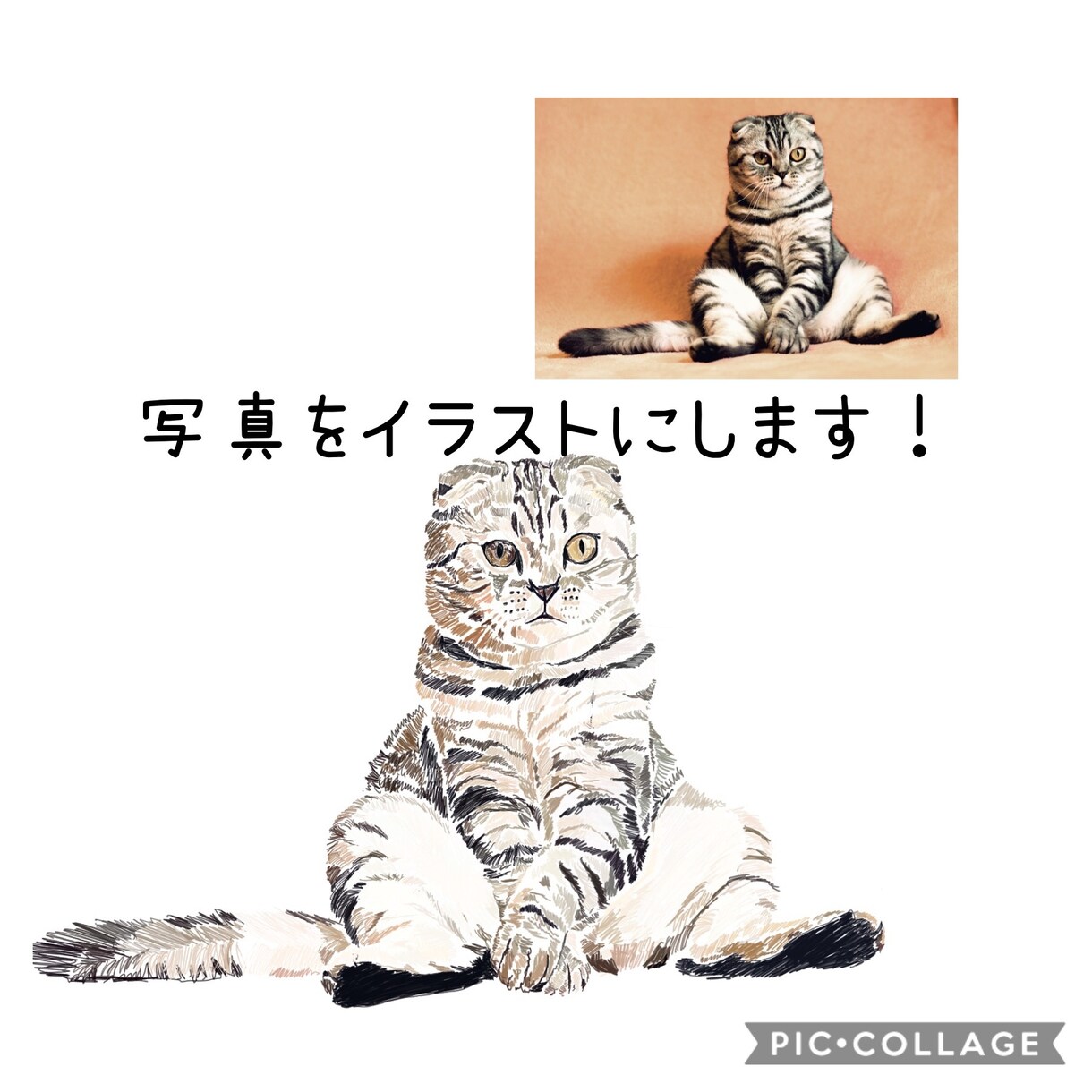 大事な猫ちゃんのお写真をイラストにします お気に入りのお写真を一枚の絵に残しませんか？ イメージ1