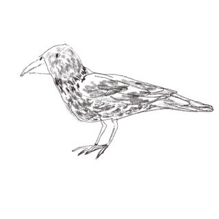 シンプルでオシャレなイラストを作成いたします ＳＮＳやグッズなど用途に合わせたオリジナルイラストの作成 イメージ9