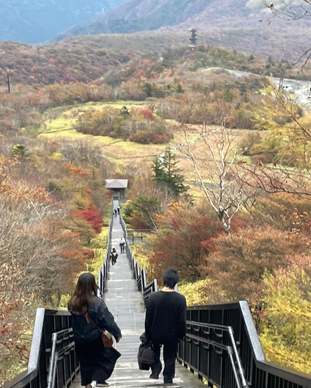 男子大学生が恋愛相談に乗ります お話をしっかり聞きます。恋愛の悩みを友達感覚でお話し下さい。 イメージ1