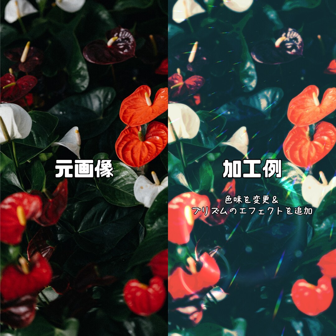 写真等の画像の雰囲気を変えます お持ちの写真にオリジナルのニュアンスが加わります イメージ4