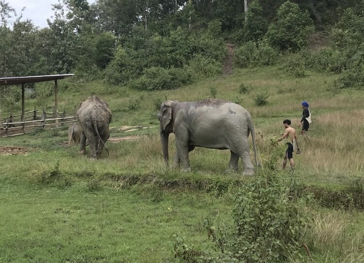 モニター価格！！あなたのタイ旅行を一緒に考えます ＊家族・1人旅・卒業旅行など様々なタイ旅の経験をシェアします イメージ9