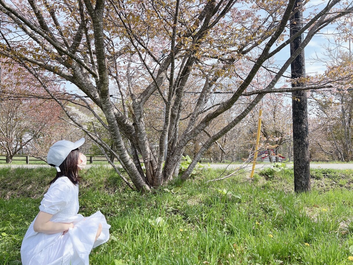 ゆさとお話ししませんか？何でも聞きます １人で居るときや寂しいときいつでも私が居ます イメージ4