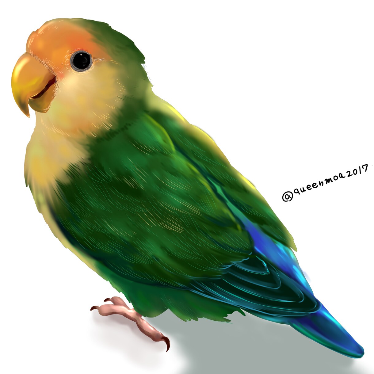 大事な小鳥さんお描きます 鳥が好きなあなたへ。可愛いからかっこいいまで全てお描きします イメージ9