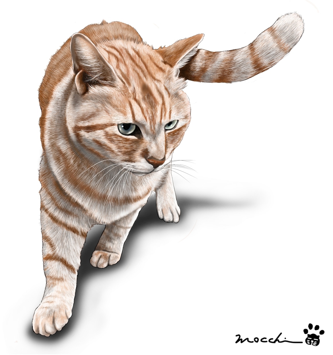 猫ちゃんの似顔絵、デフォルメなど作成します 似顔絵、かわいいイラスト、キャライラスト、人物など描きます イメージ5