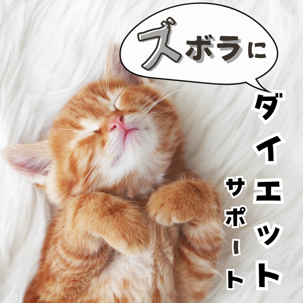 ズボラさんのためのダイエットサポートをします 『ズボラに健康習慣を』あなたに合う健康習慣を共に考えます。 イメージ1