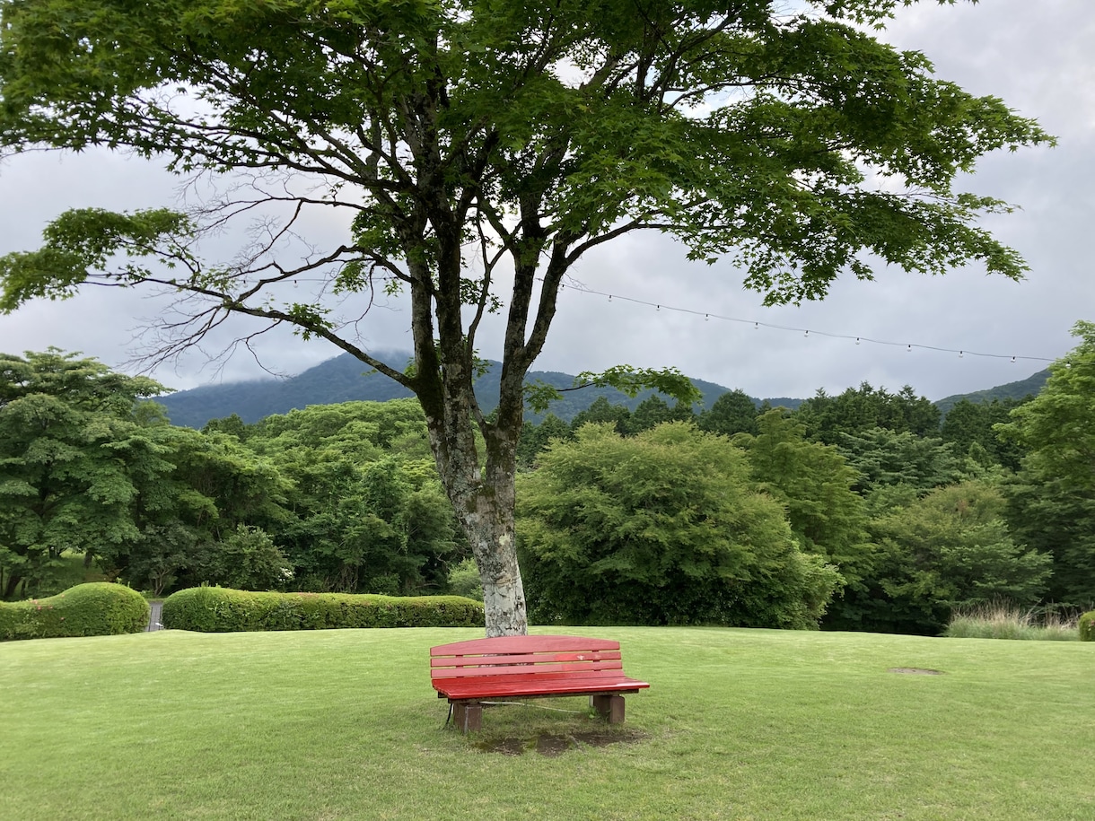 秘密厳守！夫婦関係のお悩み,お仕事のお悩み聞きます あなたを絶対に否定しません！モヤモヤした気持ち受け止めます！ イメージ1