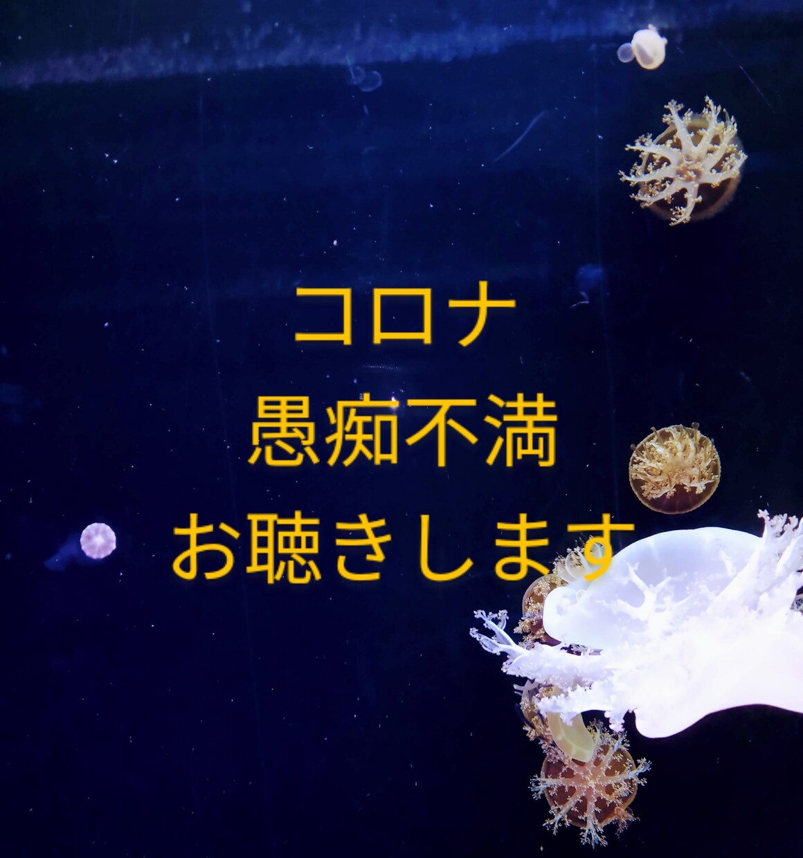 傾聴のプロがコロナ禍の愚痴不満不安をお聴きします コロナが原因でストレスを溜めている方話してスッキリしましょう イメージ1