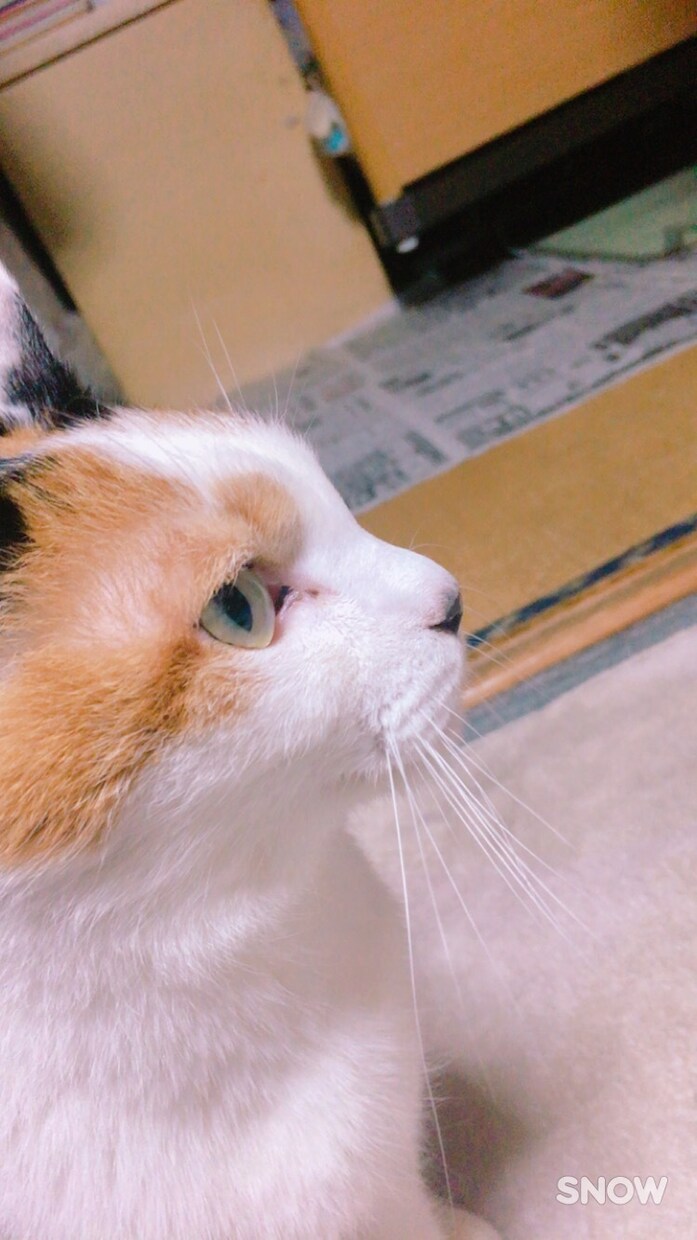 なんでもお話聞きます 仕事での愚痴や好きな人の相談などどんな話でも親身に聞きます！ イメージ1