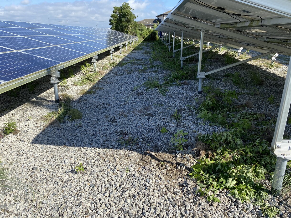 産業用太陽光発電所の除草を行います 元野立て太陽光開発担当者が行う、除草代行と点検作業です イメージ9