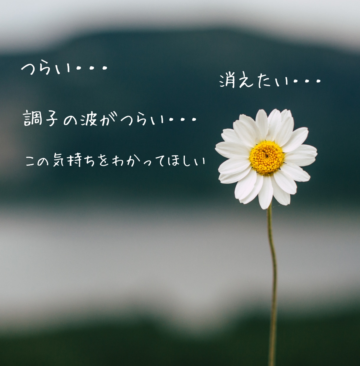 うつの苦しさ//誰かにわかってほしい・・聴きます 精神科病棟元看護師＆うつ経験者✨️あなたは一人じゃない✨️ イメージ2