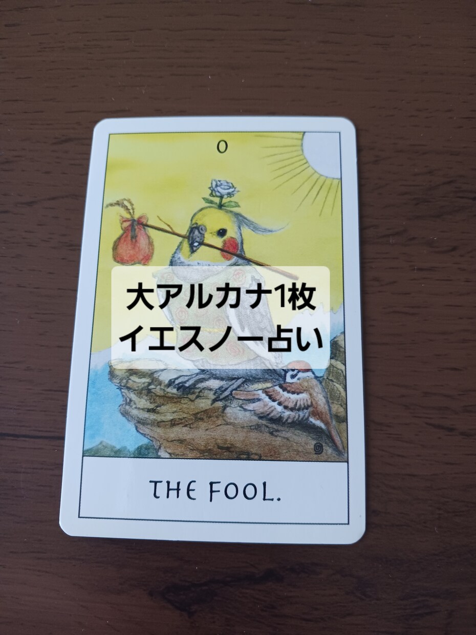 質問3つまで！イエスノーの2択で簡潔に占います この決断であってる？と迷ってる方、すぐに答えが欲しい方へ イメージ1