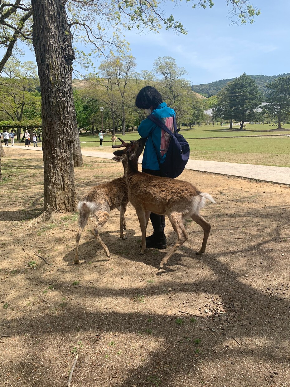 日々のストレスを少しでも和らげられたらなと思います 気が向いた時に、ゆっくりお話しましょう イメージ1