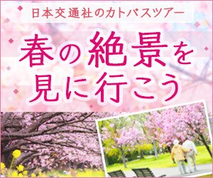 サイトやブログのヘッダー・バナー広告を作ります 初回【2500円〜】お客様への真摯な対応を心がけています イメージ2