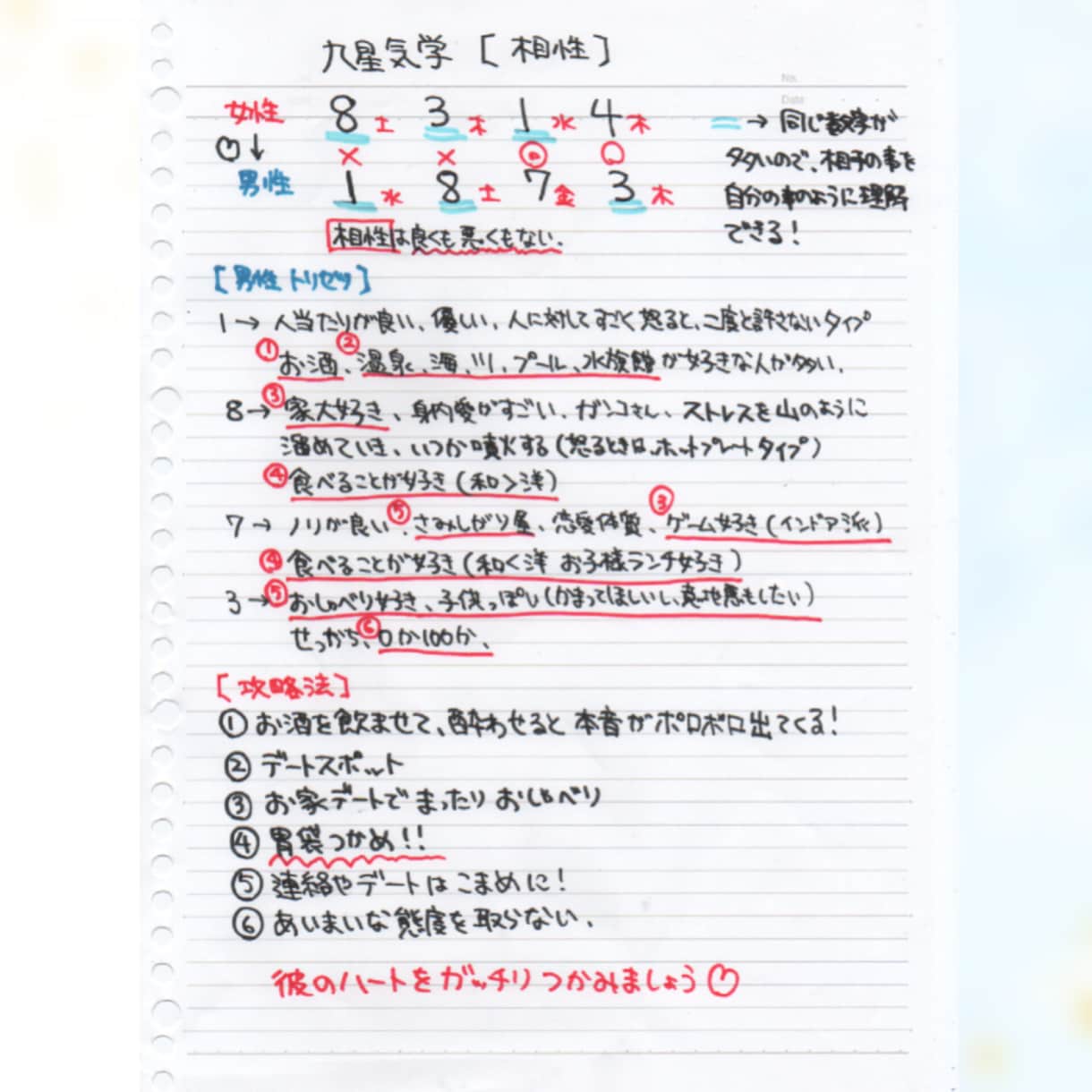 好きぴを落としたい！統計学で好きぴとの相性をみます ～お相手との相性や攻略法を知りたい人の為に～ イメージ2
