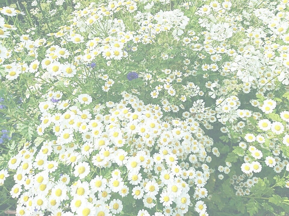 色んなお話聞きます 誰かに聞いて欲しい話がある方、悩みがある方へ イメージ1