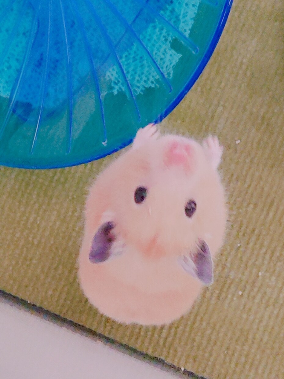 LINE感覚でお話聞きます いつでも連絡してね(*´・ω-)b ありのまま受けとめます イメージ1