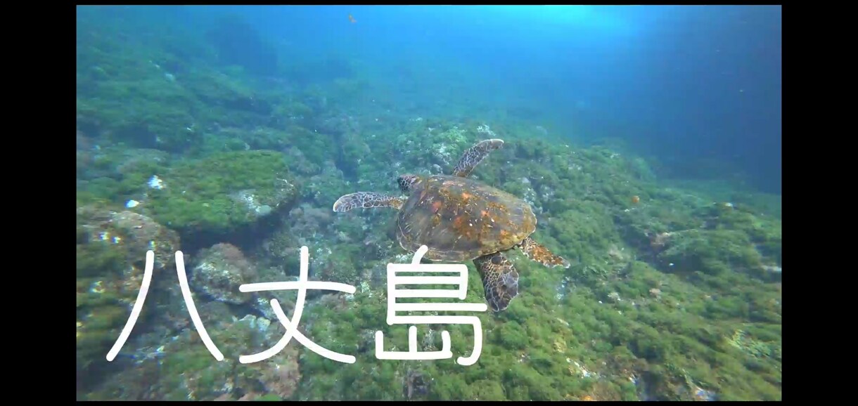 旅行、日常、お出かけの写真・動画を1本にまとめます 撮り溜めている思い出の写真や動画を1本のムービーに。 イメージ1