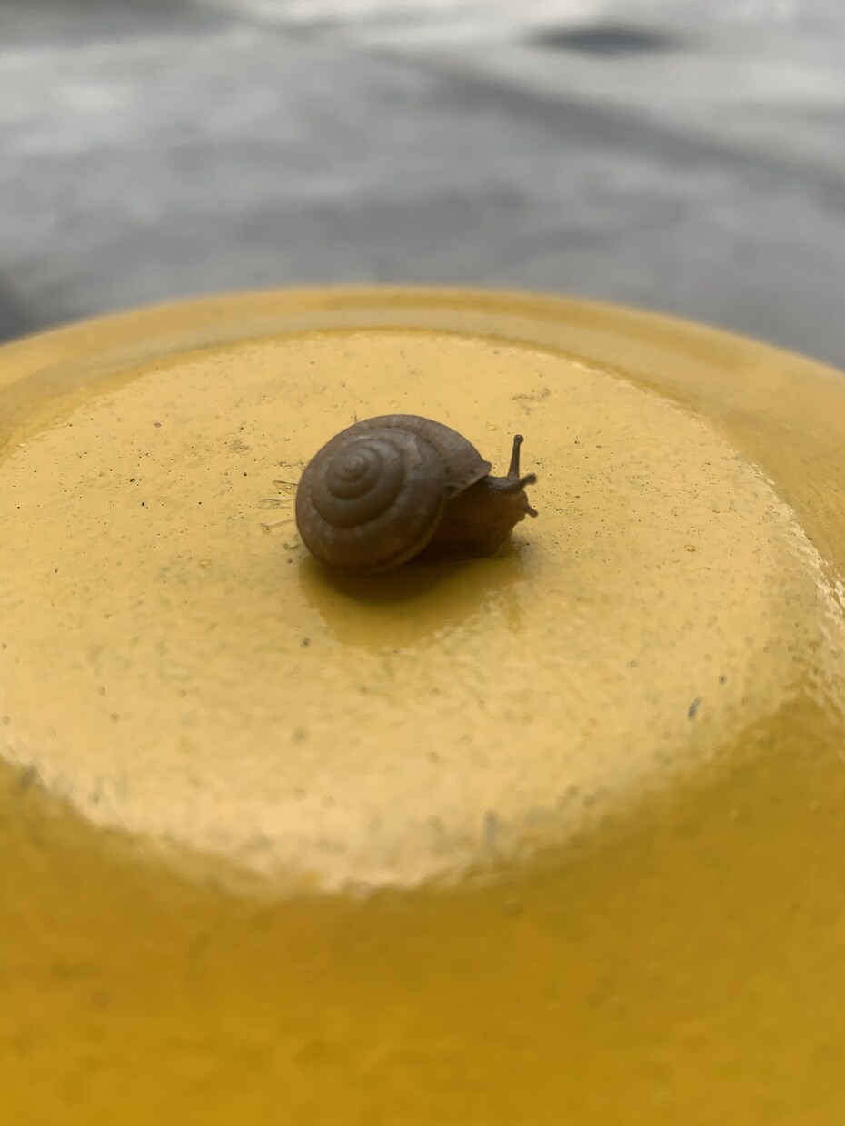 うなずきます 肯定されてる感？味わって下さいね。 イメージ1
