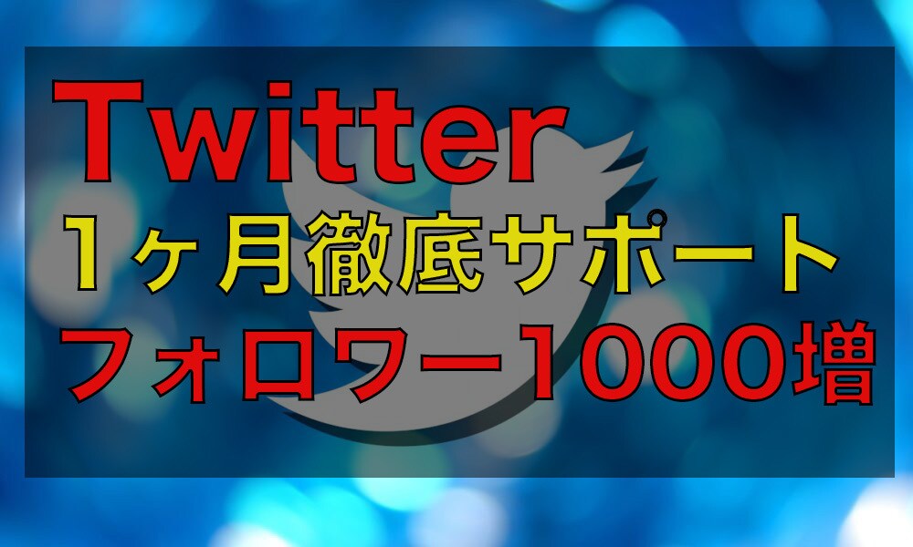 Twitter運用代行します 平日毎日投稿！ファン獲得、集客強化！ イメージ1
