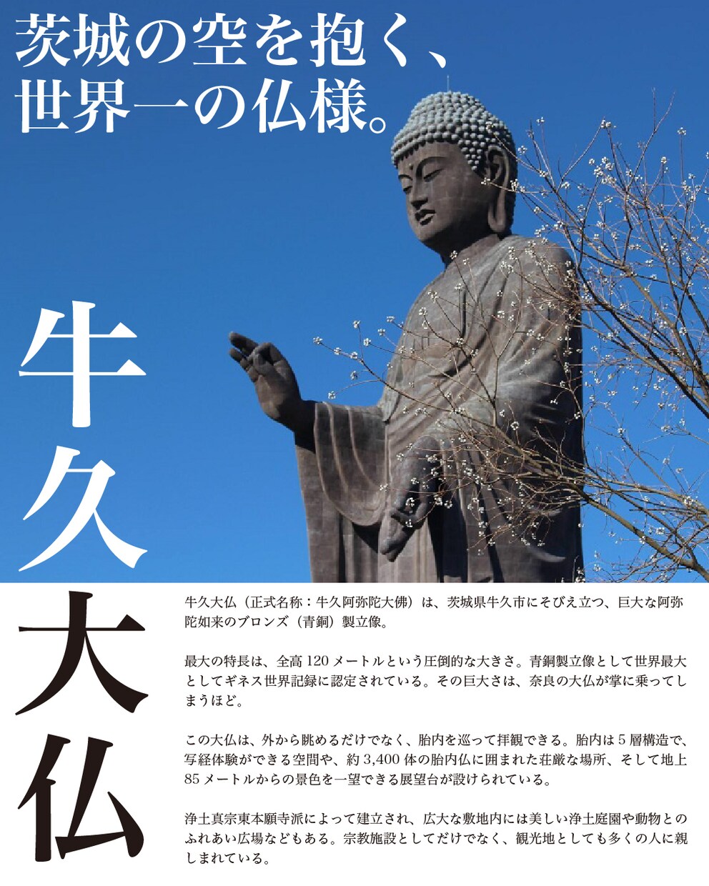 チラシやフライヤーを制作いたします 美術講師の経験を活かしデザインに落とし込みます イメージ2