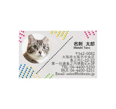 POPな名刺・ショップカードを制作します 一目で素敵！となるような名刺・ショップカード制作します イメージ8