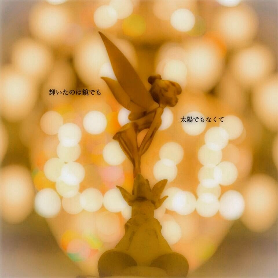笑顔の華が咲く恋を♡♡一緒に幸せを探します 辛く苦しい恋はもうやめよう♡恋って楽しいものだから♡♡ イメージ1