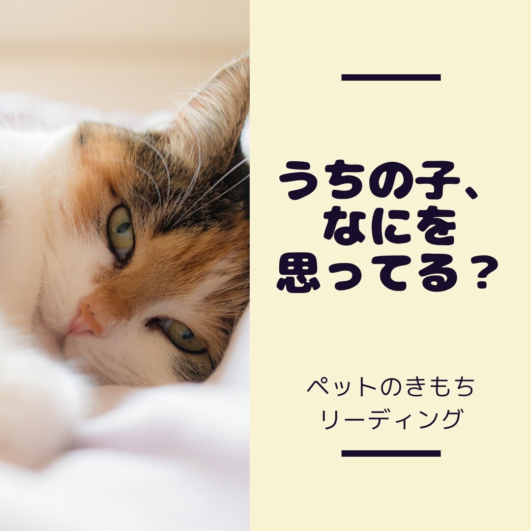 ペットの本音、翻訳します あなたの大切な"家族"の気持ちを占います【霊感タロット】 イメージ1