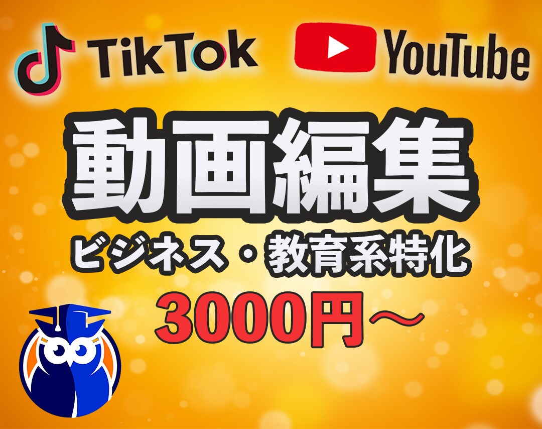 Youtube・Tiktok向けの動画を編集します ビジネス系・教育系に特化しています（その他のジャンルもOK） イメージ1