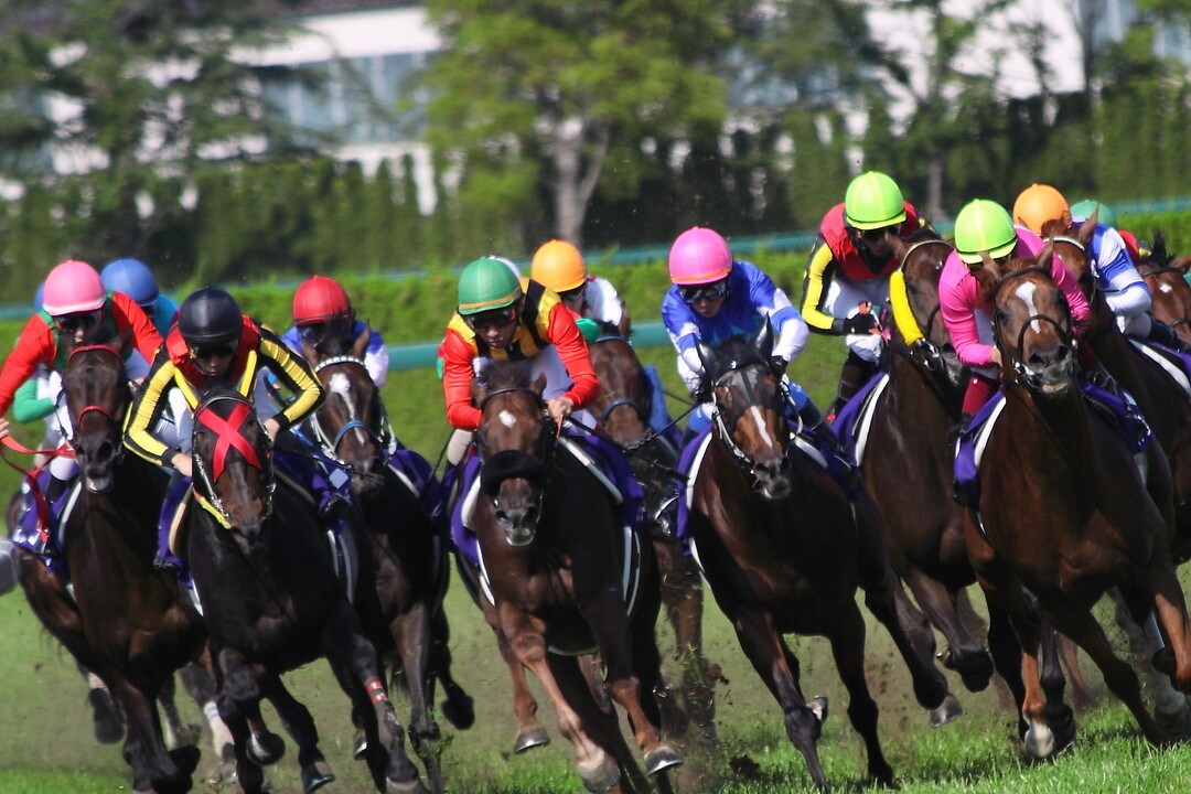 8月29日日曜　中央競馬　穴馬推奨します 穴目の馬を予想します！中穴から大穴までを主にあげます！ イメージ1