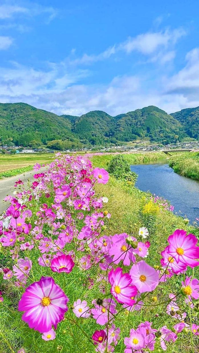 経験者だからこそ♡あなたの涙に寄り添うこと出来ます 遺族の無念さ♡悲しみ後悔　孤独感　弱音愚痴　切ない実家終い談 イメージ10