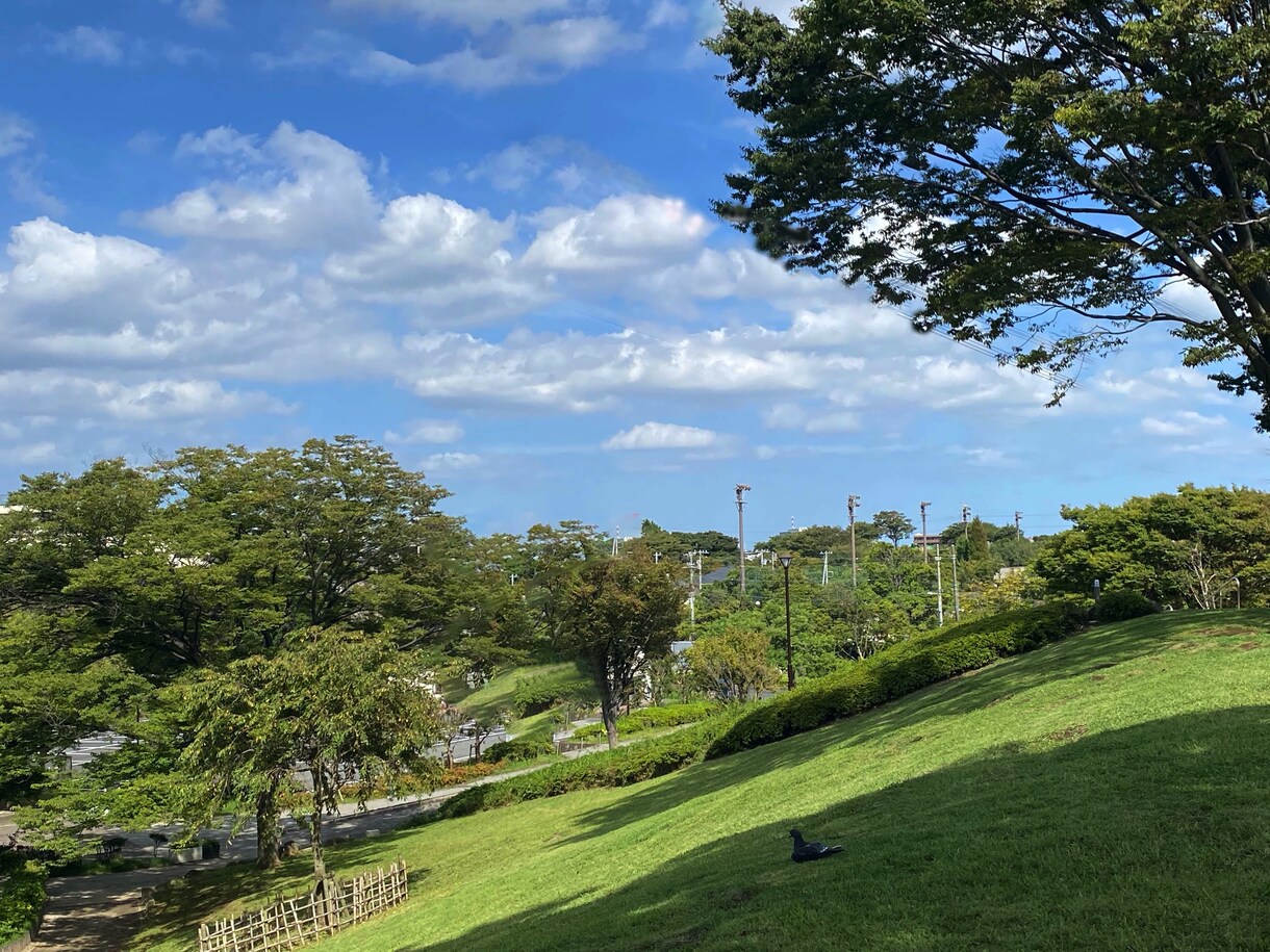 背景の不要なもの消します 旅行などで撮った風景、より洗練させます！ イメージ2