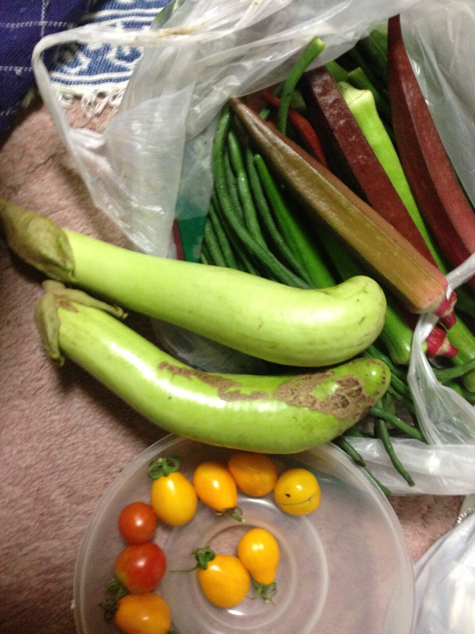 お庭に菜園を作りませんか？ イメージ1