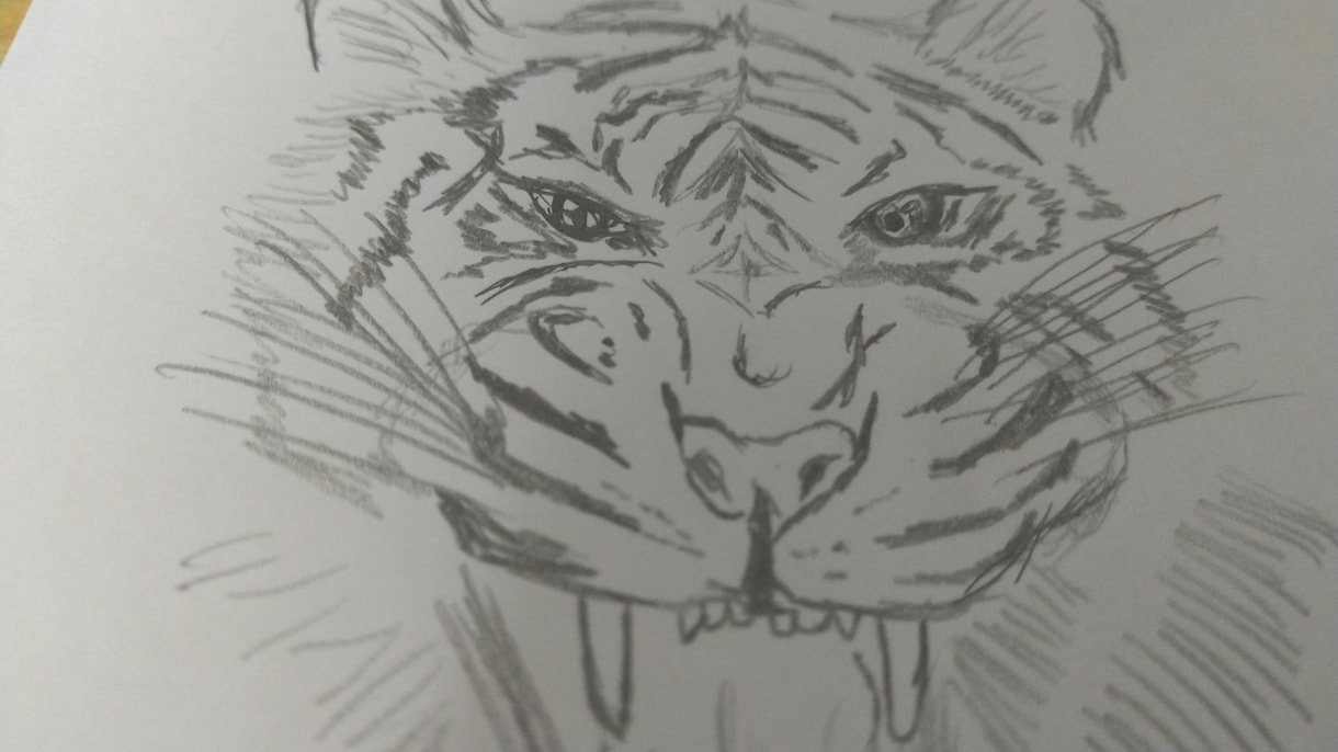 デッサンの仕方教えます 動物や物、人物の絵の書き方について教えます。 イメージ2