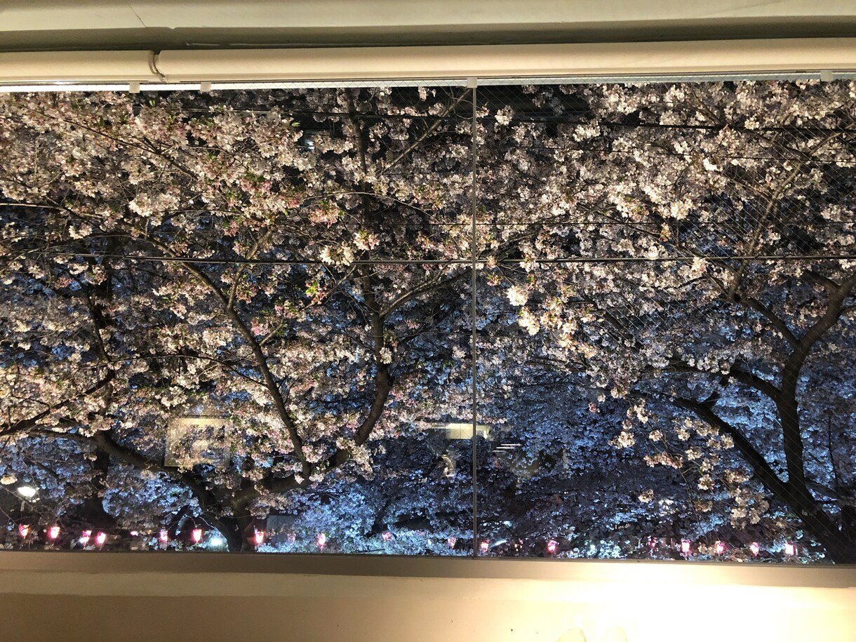 都内近郊でおすすめのデートプランを一緒に計画します 記念日や交際前、お店やプランが決まらない時に イメージ2
