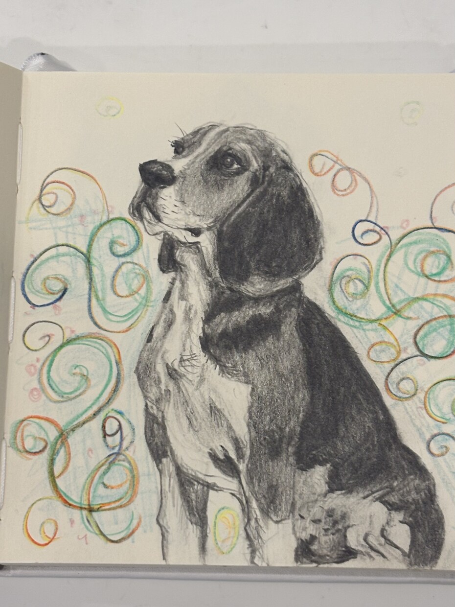 ペットの似顔絵描きます 愛ペットの似顔絵いかがですか？原画お送ります！ イメージ7