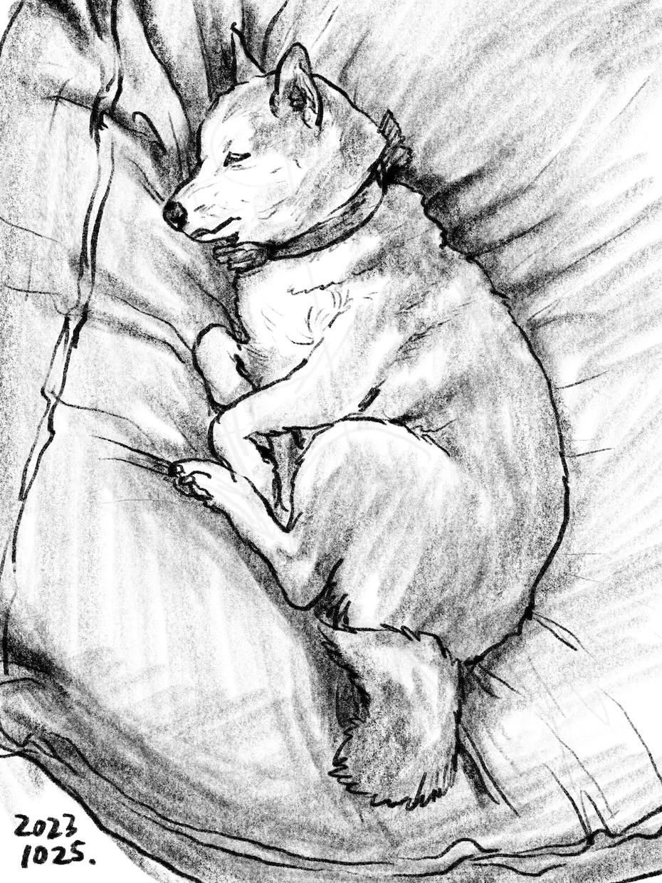 スケッチ風のイラスト制作いたします 写真から簡単手描き風スケッチイラスト イメージ4