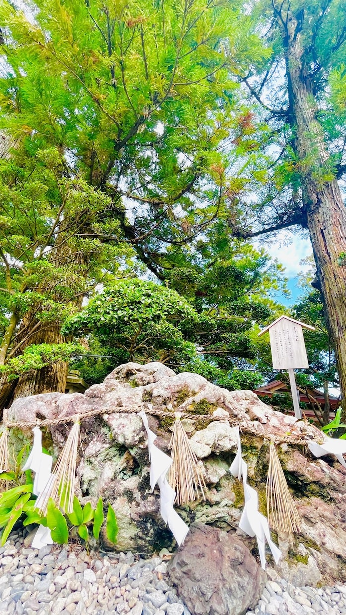 思春期のお子様をお持ちの方へ。お悩み聞きます "あなただけ" に向けたアドバイスメッセージ付き イメージ5