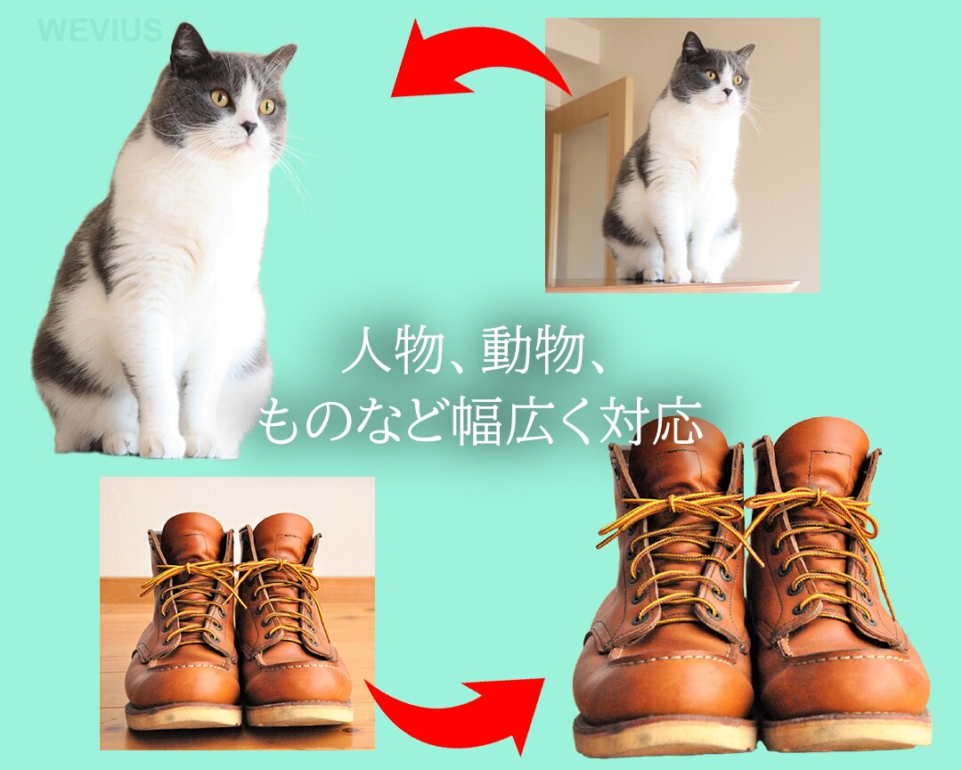 写真、画像の切り抜きをします 【格安】【ハイクオリティ】【1枚からOK】 イメージ3