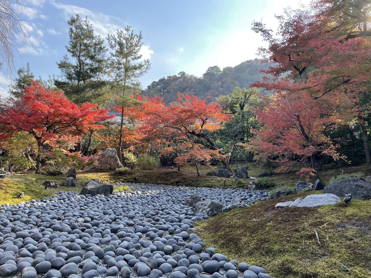 京都市内の観光地、穴場スポット写真代行致します 『コロナ禍でなかなか京都観光に行けない』という方に必見‼︎ イメージ1